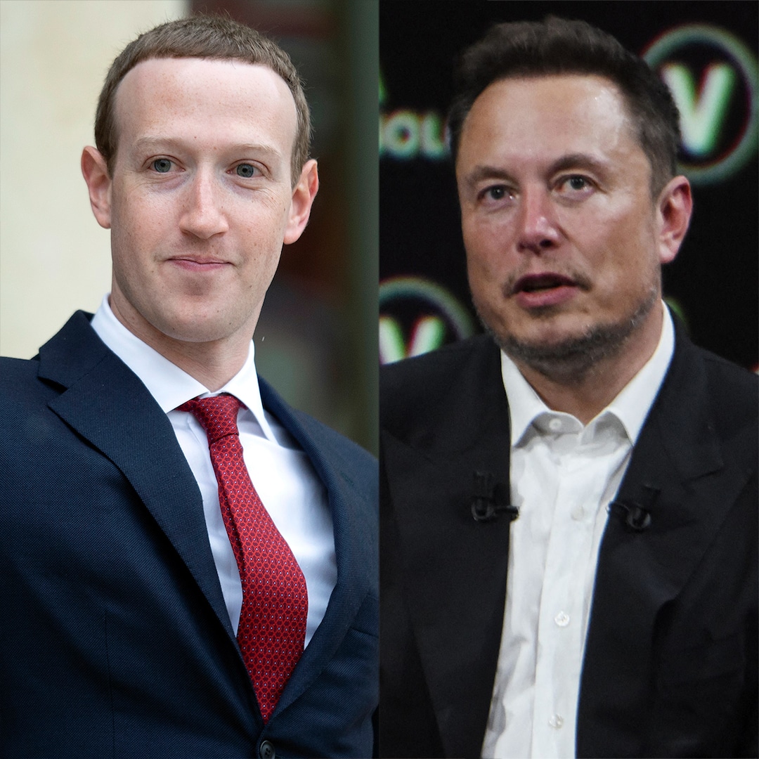 Mark Zuckerberg Accepts Elon Musk’s Challenge to a Cage Fight